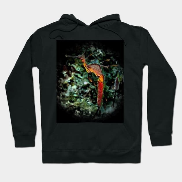 WEEDY SEA DRAGON 'SEAHORSE TRUST' ART Hoodie by dumbodancer